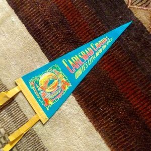 Vintage Souvenir Pennant